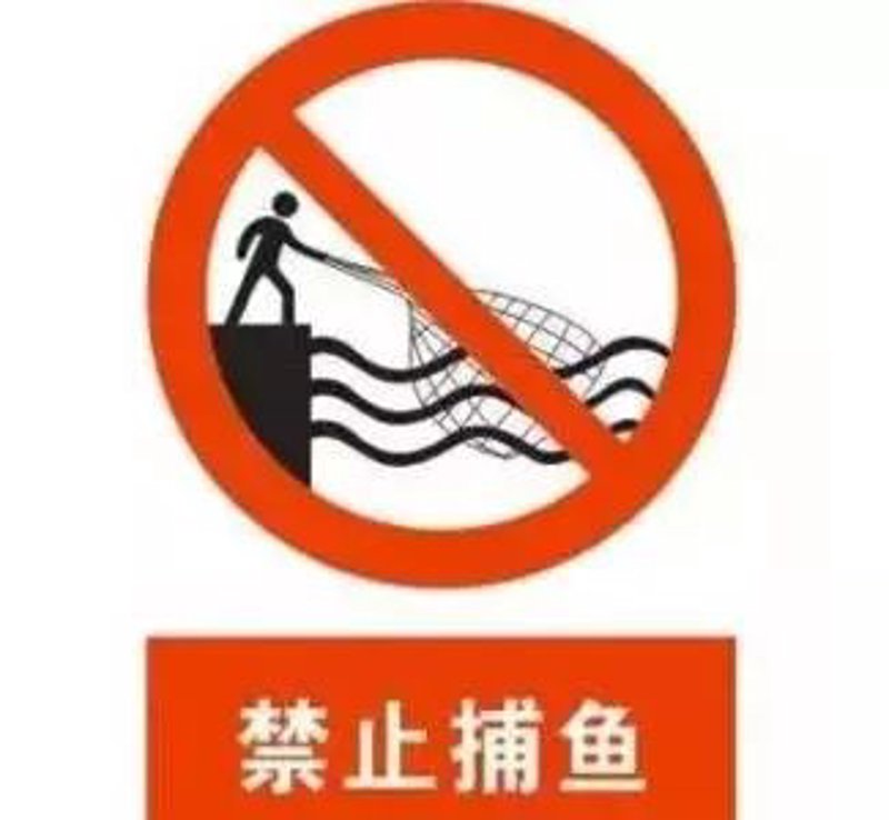微信开发票电子发票在哪？一份详细解答